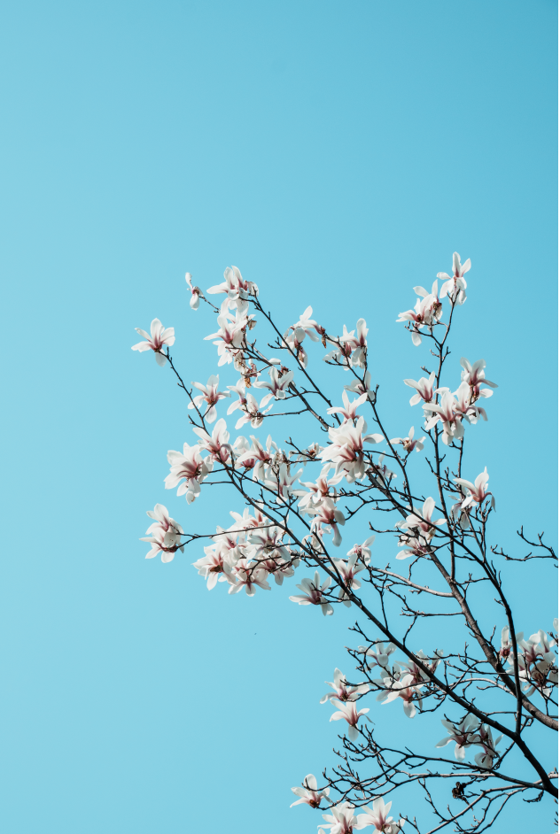 c348bbb00d4cf3d46efb1d0985b0b29c.png